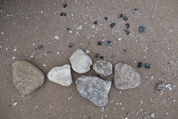 NewportRocks-314