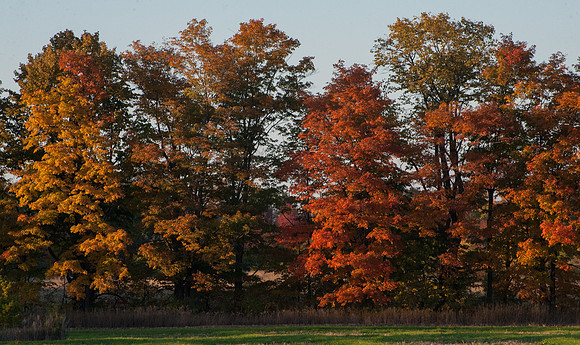 FallFarm-75