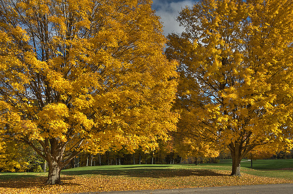 GoldHDR01