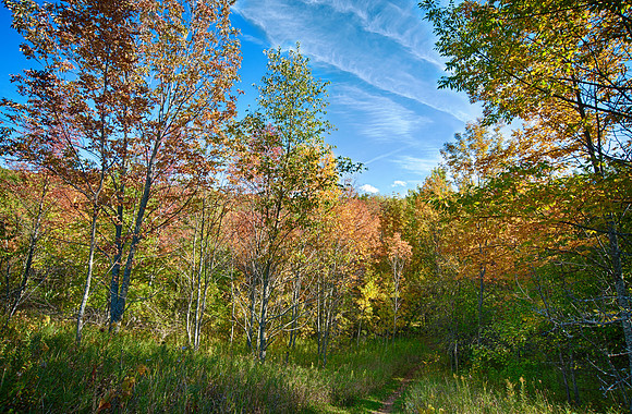 BayshoreB-95_HDR