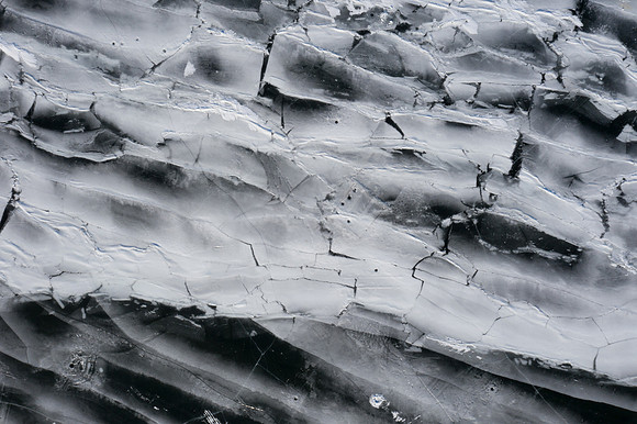 icefish-296