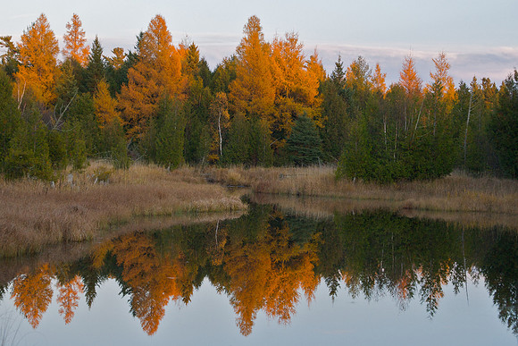 10272009FallColors194