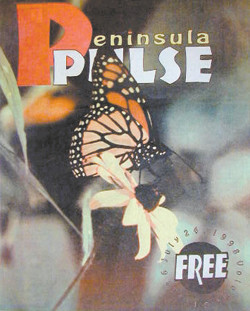 ppv3i06_cover_sm