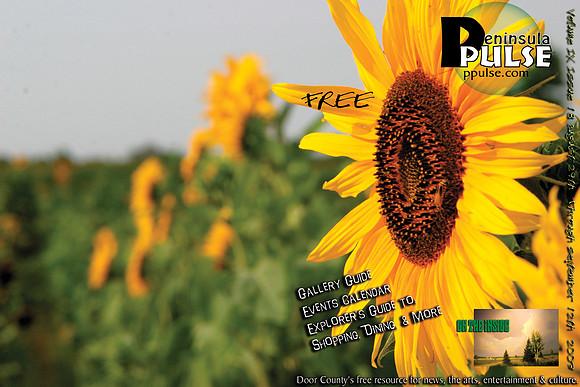 ppv9i18_cover_sm