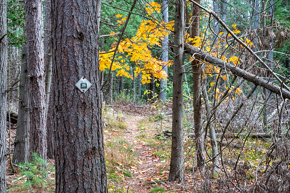 3SpringsFall-154-HDR