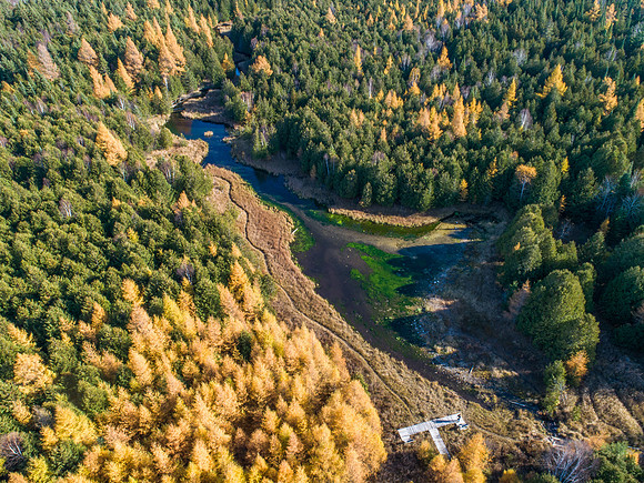 sun3sprngfall-50