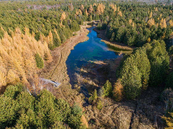 sun3sprngfall-58