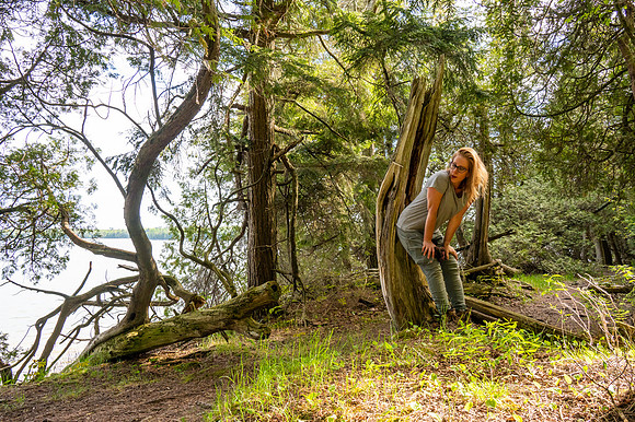 Jodi Rose Gonzales - Girl in the Woods-210
