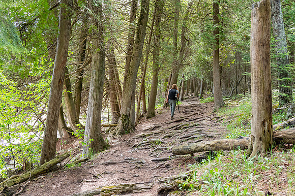 Jodi Rose Gonzales - Girl in the Woods-250