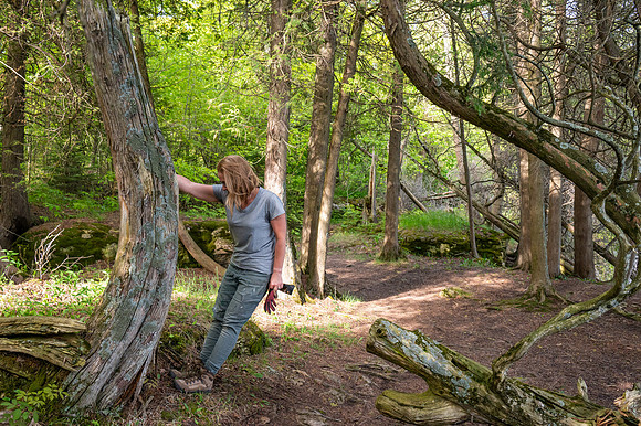 Jodi Rose Gonzales - Girl in the Woods-223