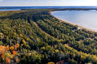 Sunday Fine Fall Drone-82