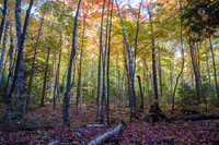 WCFall14-67