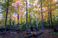 WCFall14-135