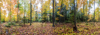 WhiteCliffFallPano01