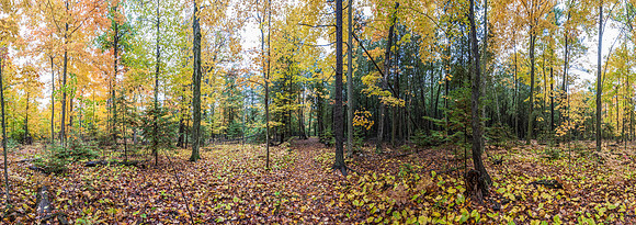WhiteCliffFallPano01