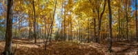 WCFallPano02