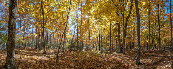WCFallPano02