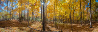 WCFallPano04