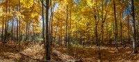 WCFallPAno01