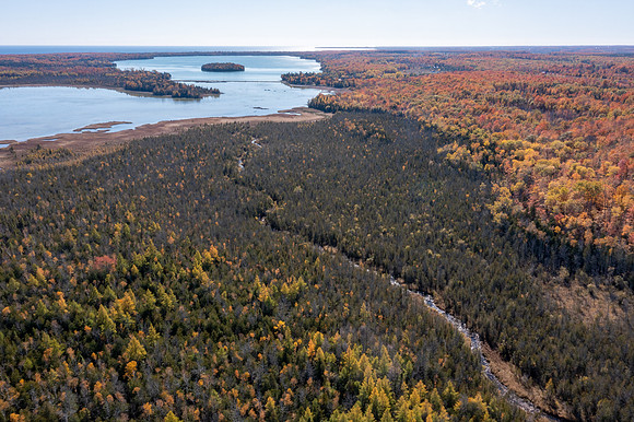 DCLT Kangaroo Lake Preserve Fall Drone 2022 Dan Eggert-10