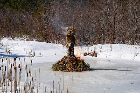 Timberella 5 Burn-35