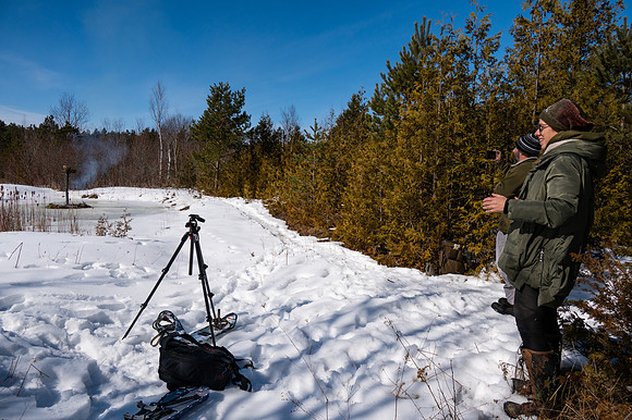 Timberella 5 Burn-129