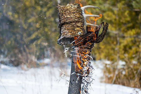 Timberella 5 Burn-112