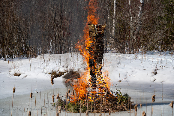Timberella 5 Burn-71
