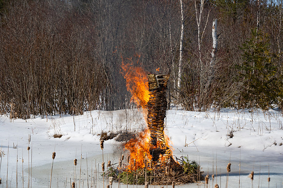 Timberella 5 Burn-73