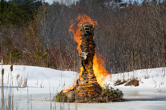 Timberella 5 Burn-59