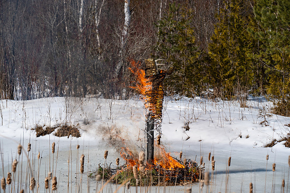 Timberella 5 Burn-94
