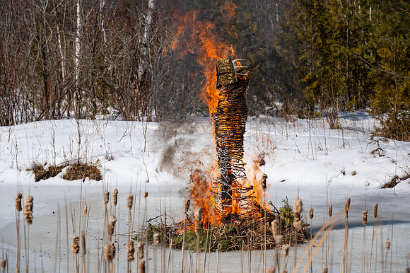 Timberella 5 Burn-77
