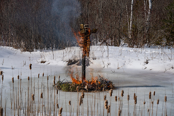 Timberella 5 Burn-96