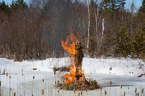 Timberella 5 Burn-74