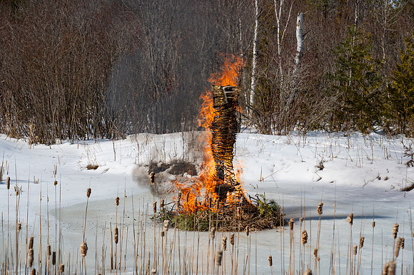 Timberella 5 Burn-75