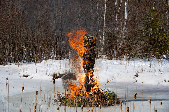 Timberella 5 Burn-72