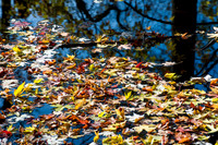 APondFall101114-61-Enhanced