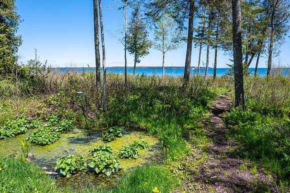 10904 S Sand Bay Ln Sister Bay web-35