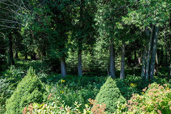 1356 Kinsey Bay Liberty Grove-web-6