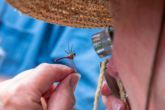 DCLTBioBlitz-119