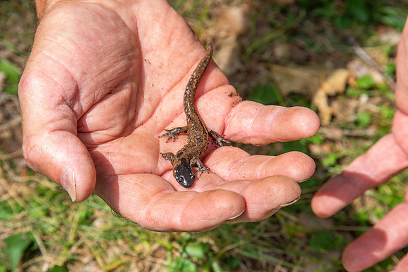 DCLTBioBlitz-74