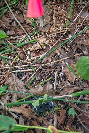 DCLTBioBlitz-87