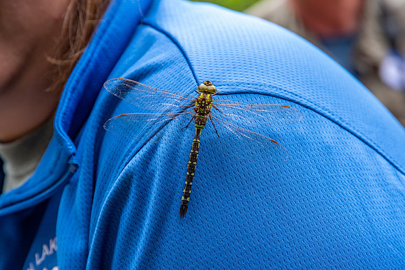 DCLTBioBlitz-121