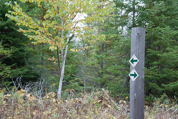 ShivSandFall14-52
