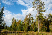 Shivering Sands State Natural Area