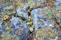 ShivSandFall14-69