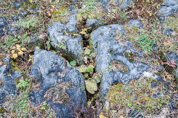 ShivSandFall14-69