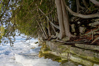 03-09-2021-Dan Eggert-Ellison Bay Bluff ice -6