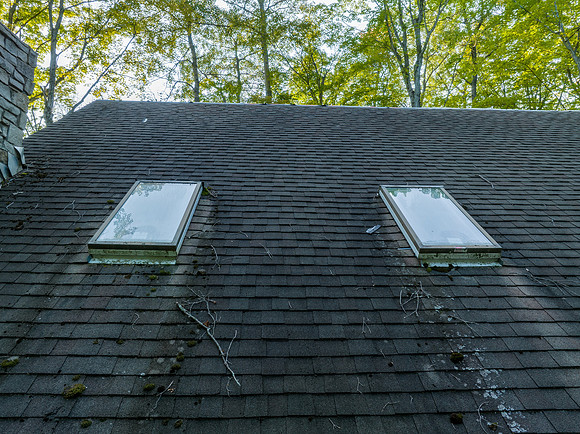 Dragonfly Before Roof Removal-12