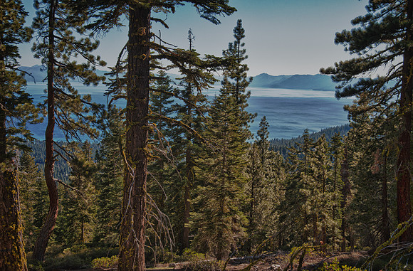 TRTExplore-16_HDR